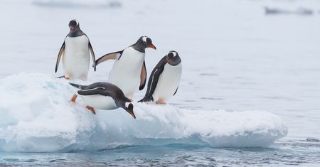 Linux 5.4 oficjalnie z exFAT. Do tego wielkie łatanie inteli i nowość od Google'a