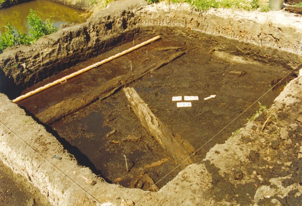 wykopaliska, drewno, archeolodzy, Żuławka 