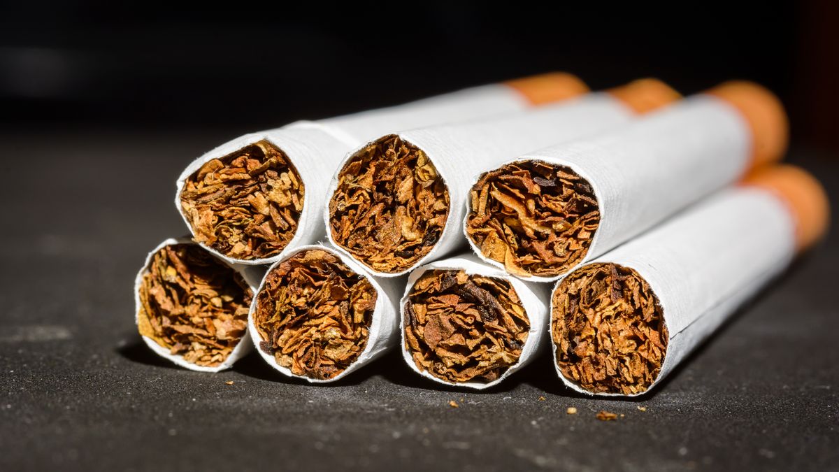 CigarettesClose up Tobacco Cigarettes marco detailJillwt