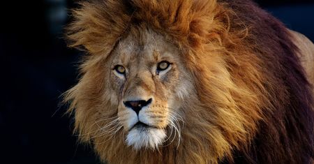 ZOO w Polsce. Rozpoznasz wszystkie hasła?