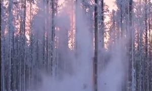 "Eksplodują" i są głośne. To naturalne zjawisko