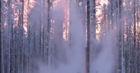 "Eksplodują" i są głośne. To naturalne zjawisko