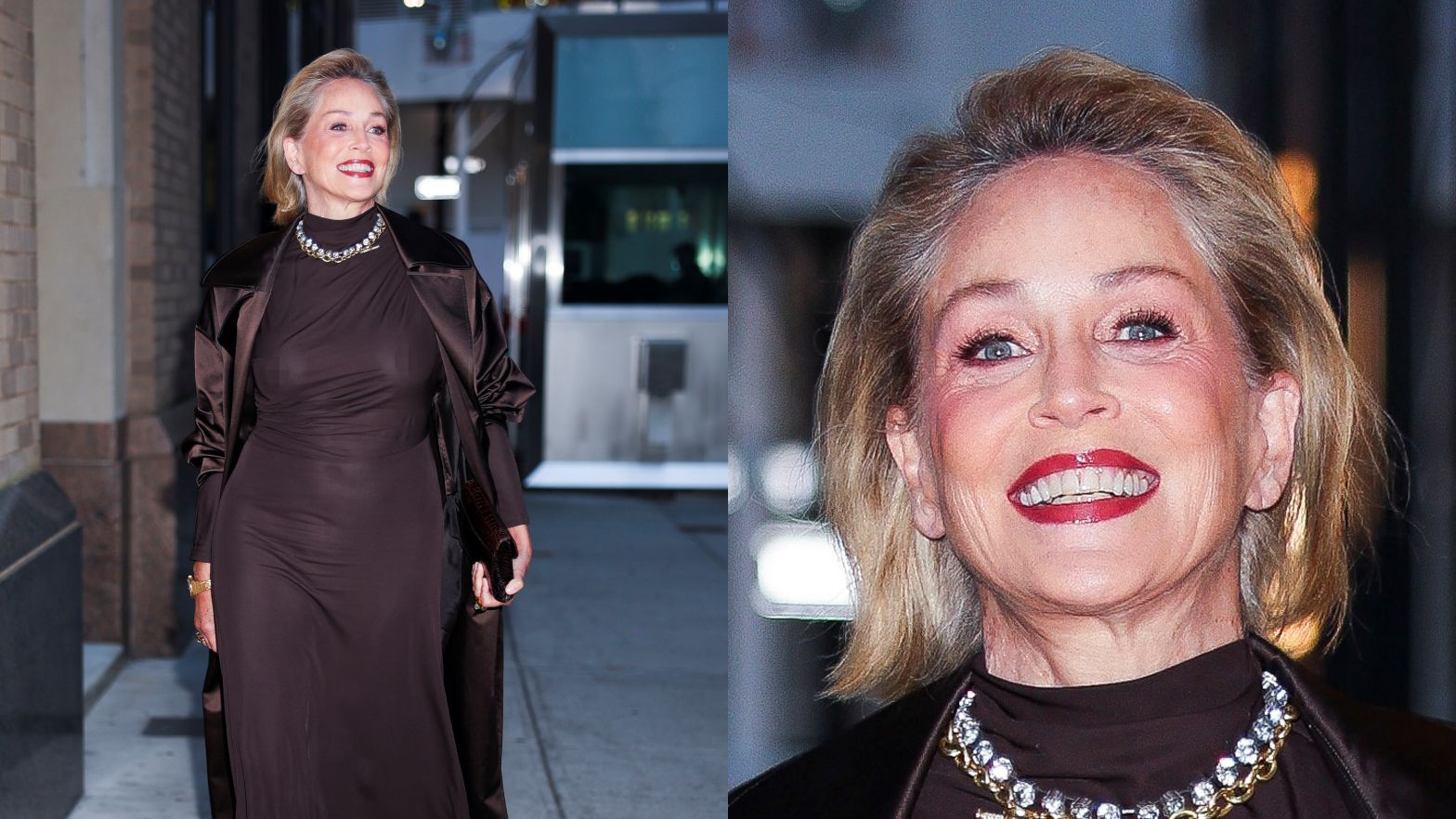 Sharon Stone w prześwitującej sukience bez stanika