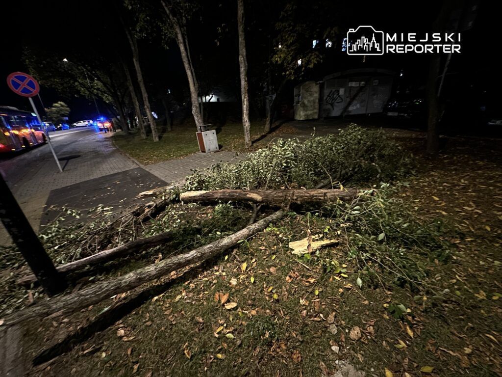 Połamane gałęzie leżą na chodniku, obok widać zaparkowany autobus i radiowóz w tle, nocna sceneria.