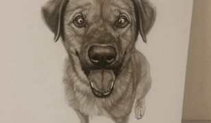 Warszawa. Ukradli obraz przeznaczony na cele charytatywne