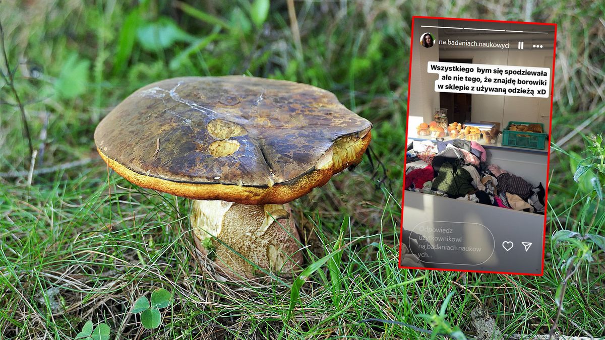Influencerka znalazła grzyby w sklepie z używaną odzieżą