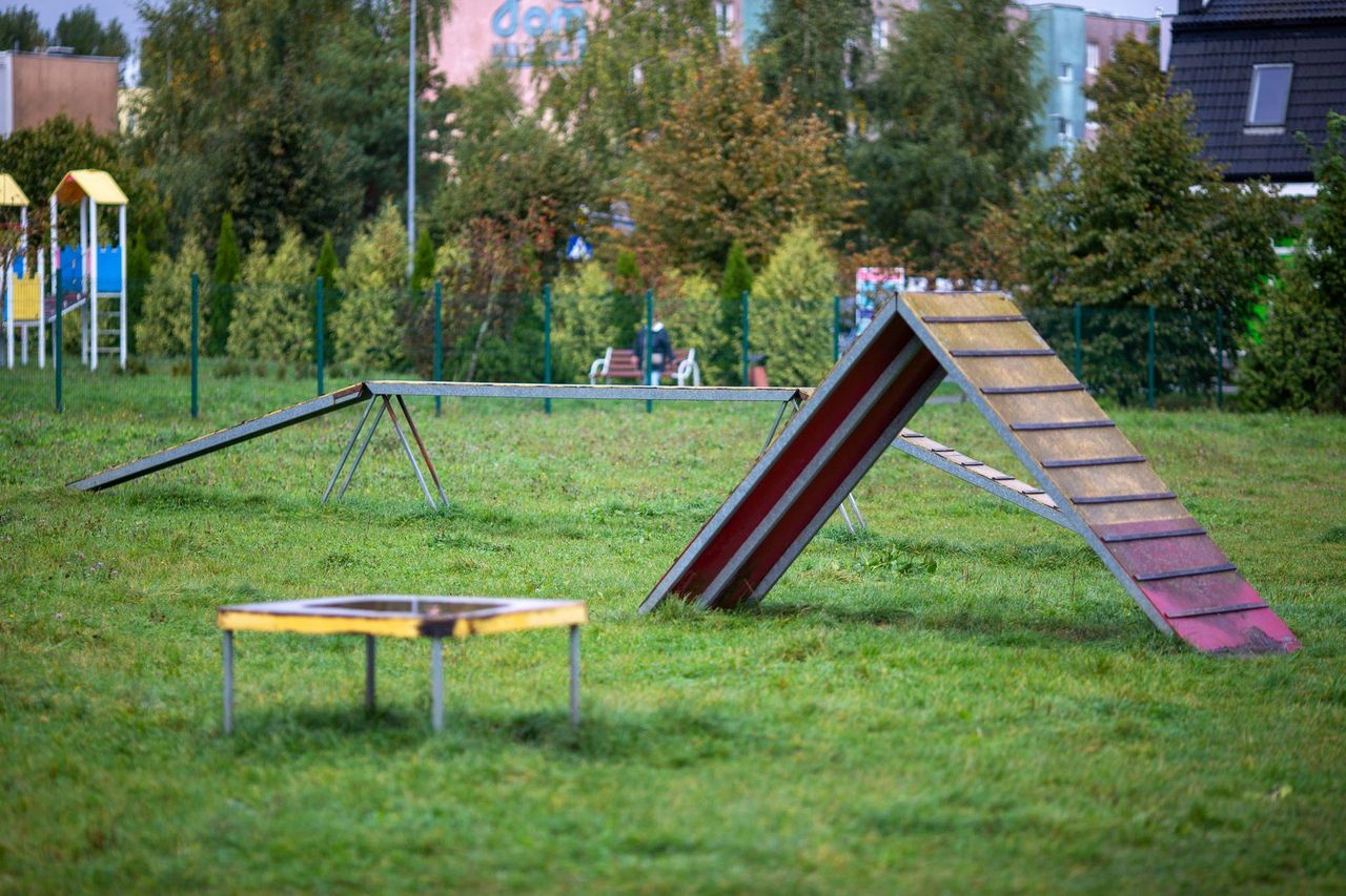Słupsk: Tam wyjdziesz z psem na spacer? Znasz te miejsca?
