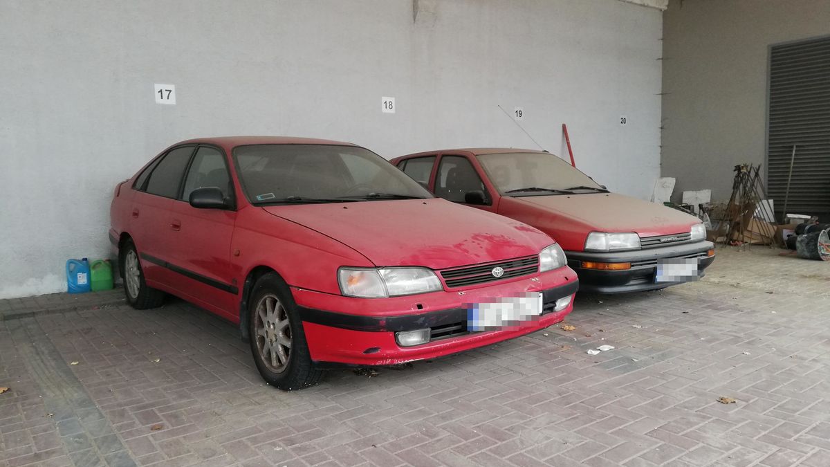 Trochę przykurzone i opuszczone? Nic nie szkodzi, dalej są w cenie!