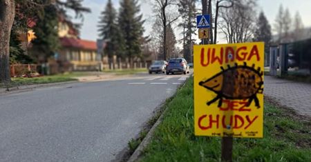 Ogólnopolska akcja "Uwaga jeże". Polanica-Zdrój stawia tabliczki przy drogach