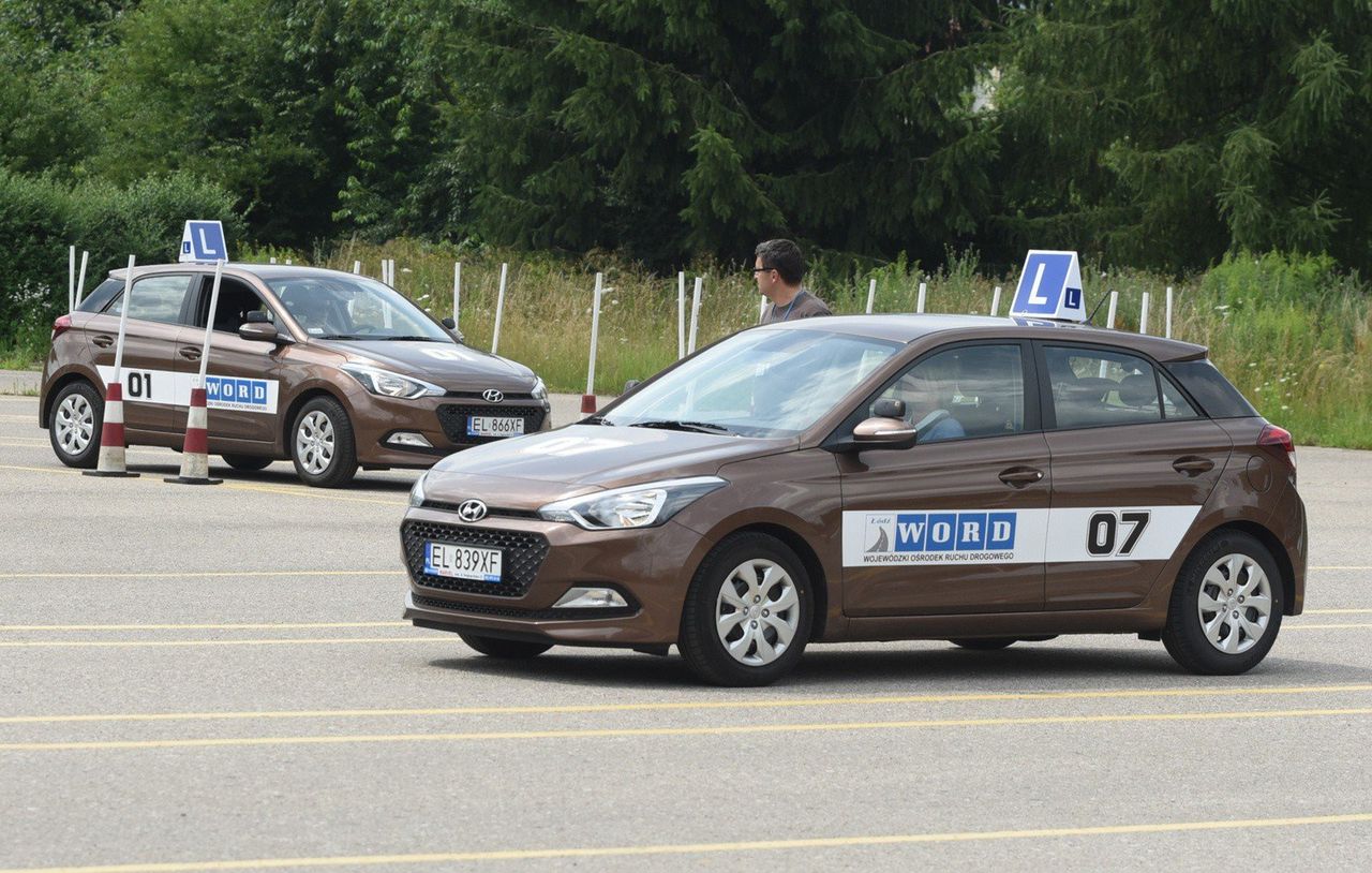 Prawo jazdy kategorii B. Jak uzyskać prawo jazdy w 2025 roku? Procedura krok po kroku