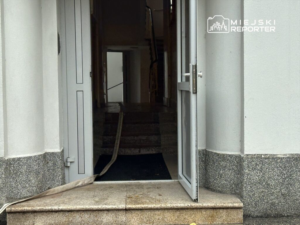 Otwarta drzwi z widokiem na schody prowadzące do wnętrza budynku, z wężykiem leżącym na podłodze.