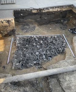 Trzy tony ludzkich kości. Niesamowite znalezisko pod Łodzią.