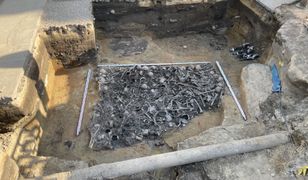 Trzy tony ludzkich kości. Niesamowite znalezisko pod Łodzią.