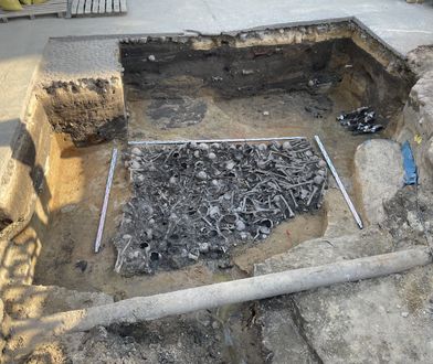 Trzy tony ludzkich kości. Niesamowite znalezisko pod Łodzią.