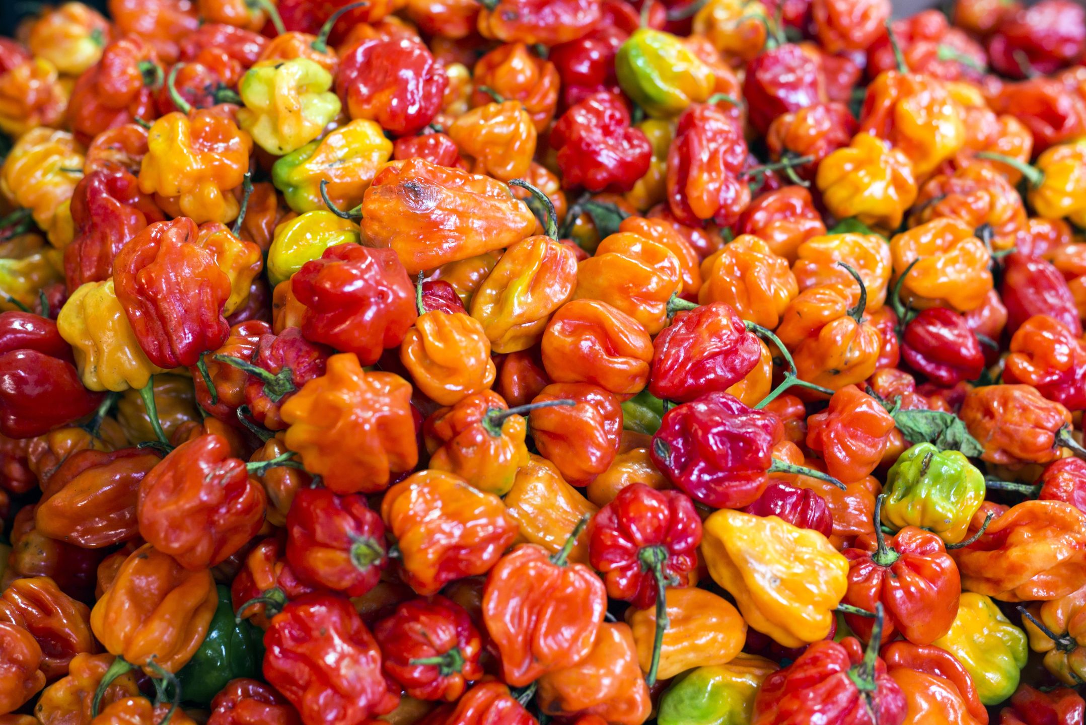 habanero