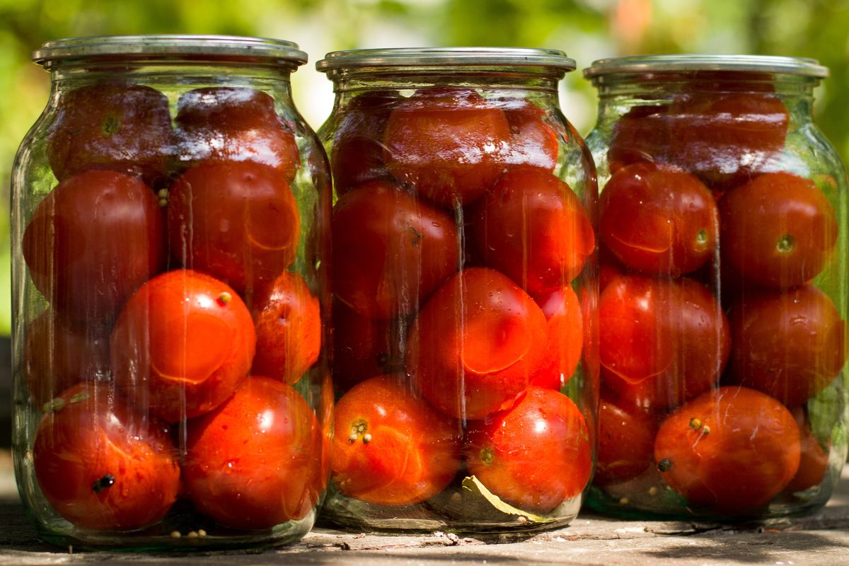 Tomatoes in jars without brine - Delicious