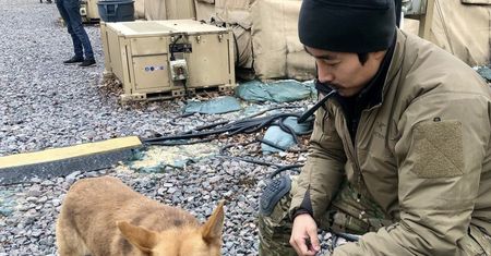 Walczył w Ukrainie. Korea Południowa chce go surowo ukarać