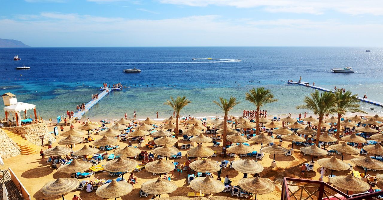 Sześć najlepszych plaż Egiptu. Gdzie spotkasz delfiny, a gdzie uciekniesz przed tłumami?