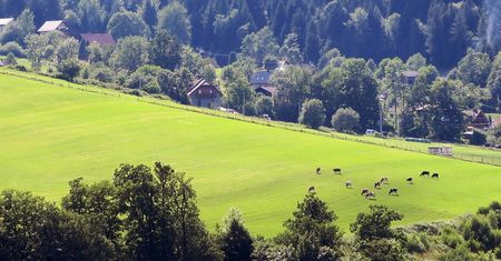 Miało być schronisko, będą apartamentowce? Skandal w Beskidach