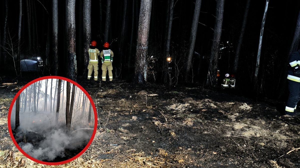 Pożar lasu w Kłodzie
