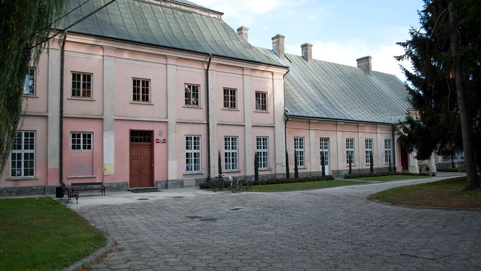 Boguchwała/ ilustracja