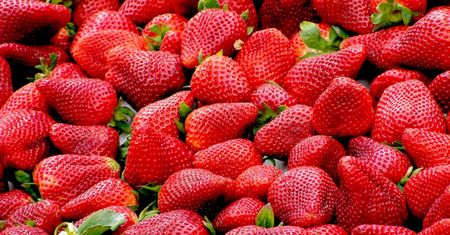 Pierwsze polskie truskawki już w sprzedaży. Ale ta cena!