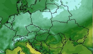 Mróz nawet -5 stopni. Nagłe ochłodzenie w pogodzie