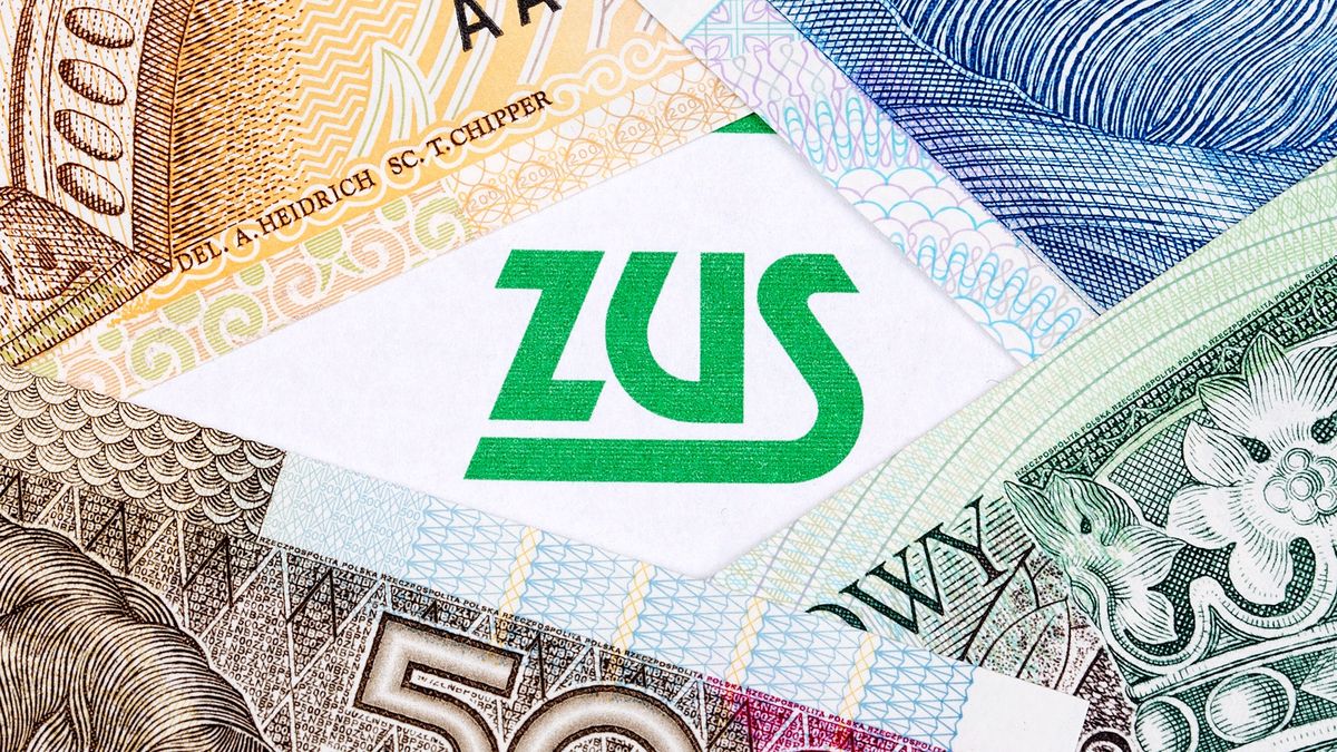 polish, insurance, documents, money, poland, zloty, zus, background, currency, cash, finance, business, bill, wealth, paper, bills, banknote, savings, financial, green, banknotes, economy