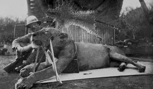 Ludojady z Tsavo. Miały zabić nawet ponad 100 bezbronnych ludzi