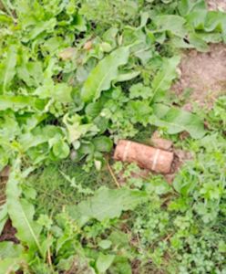 Ponure znalezisko rolnika koło Tarnowa. Zaalarmowano służby