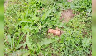 Ponure znalezisko rolnika koło Tarnowa. Zaalarmowano służby