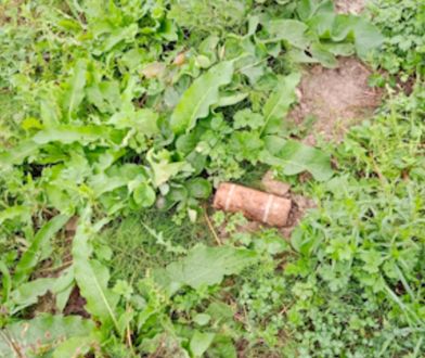 Ponure znalezisko rolnika koło Tarnowa. Zaalarmowano służby