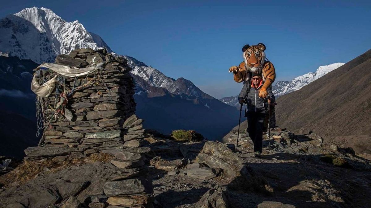 Fotograf przebiegł maraton w stroju tygrysa. Zebrał dla drapieżników 500 tys. zł 1