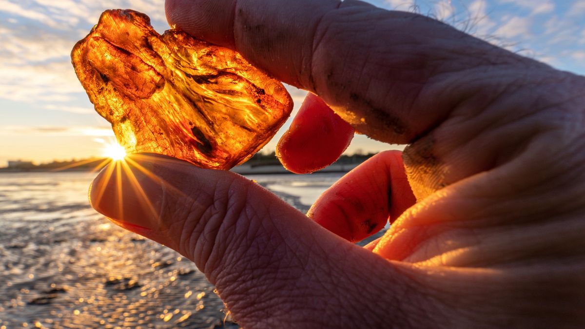 amber
male hand holds recently found amber against the sun
Bjoern Wylezich
amber stone, fossilized resin, resin, natural amber, natural, stone, orange, clear, male, man, backlight, held, consider, view, sunrays, find, specimen, baltic, artifact, raw, sunbeams, delight, hope, moody