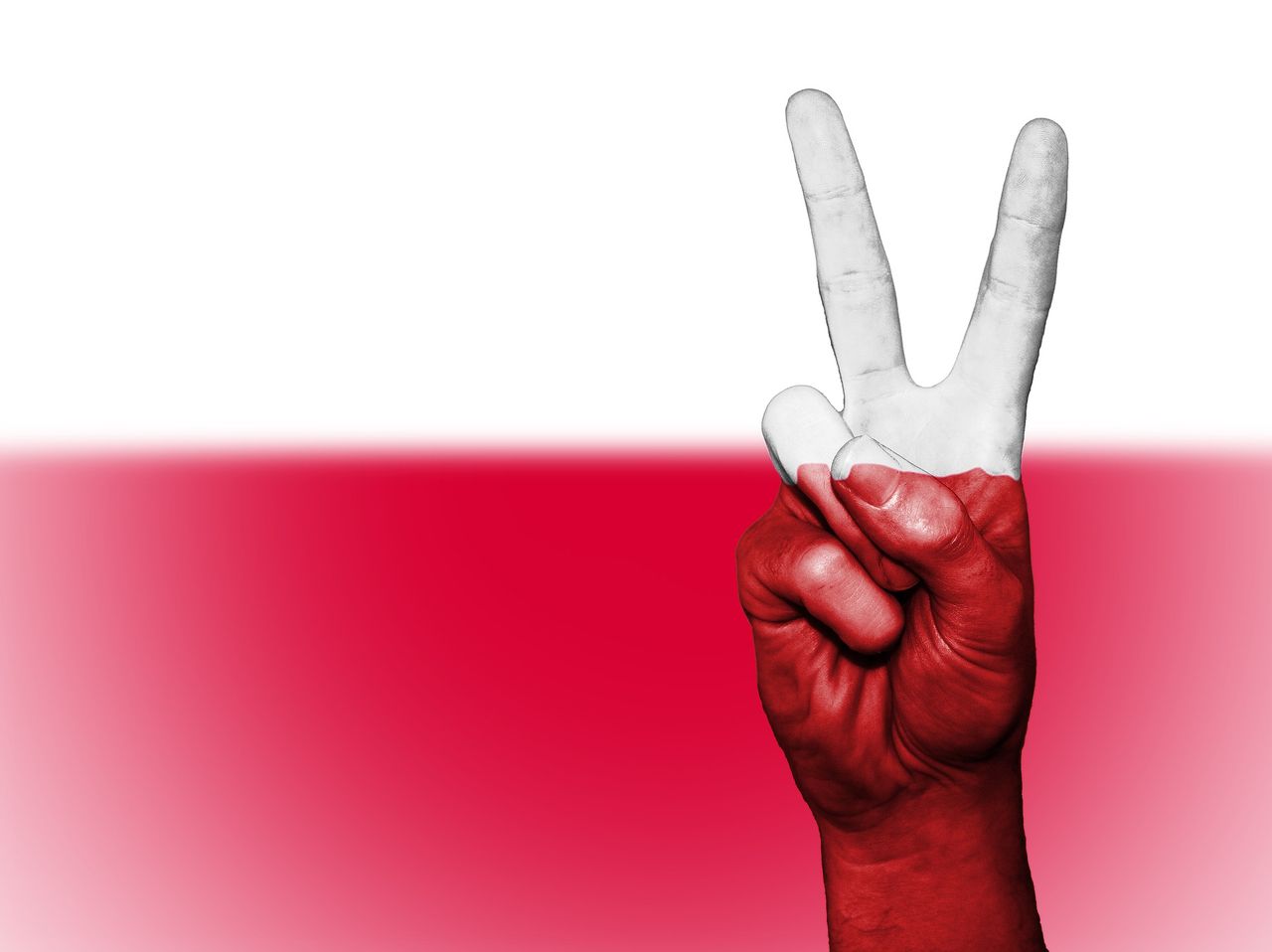 Aplikacja Rycerz bronią internetowej husarii, walczącej ze szkalowaniem Polski