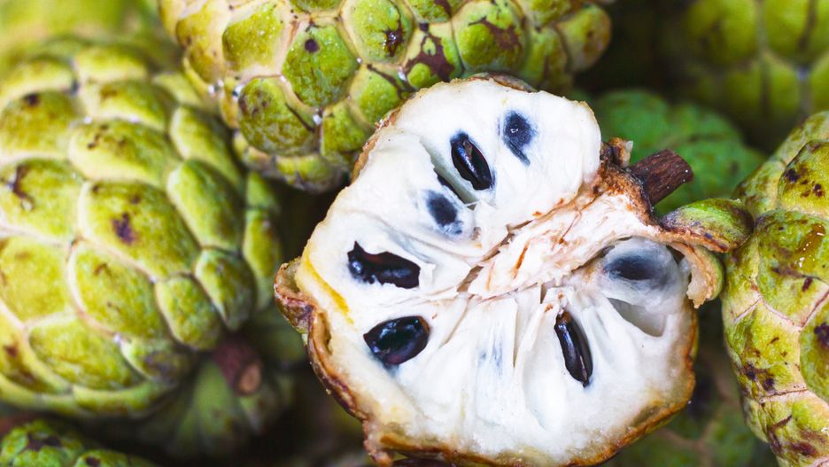 Graviola nie jest owocem dla każdego