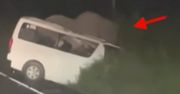 Uganda: minibus zderzył się ze słoniem w Murchison Falls. Trzy osoby nie żyją