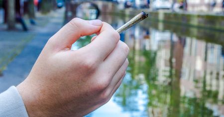 Rewolucja w Amsterdamie. Mandat za jointa w centrum miasta