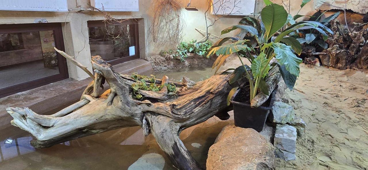 Nowe lokum i mural w ZOO Płock