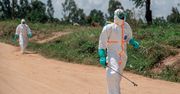 Władze podały nowe dane o eboli w DRK. Zatrważające liczby