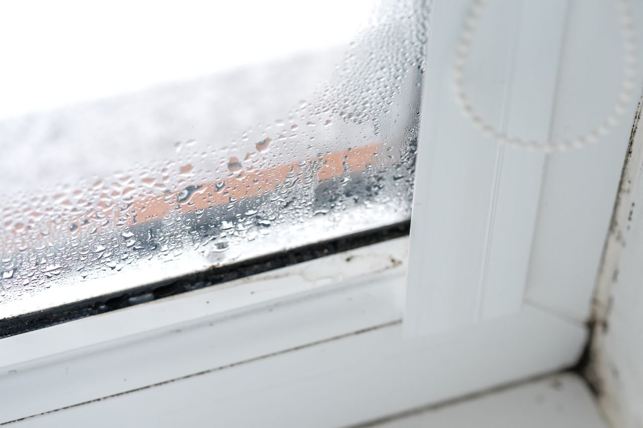 Katzenstreu als Geheimwaffe gegen feuchte Fenster im Winter