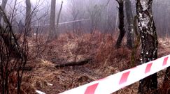 Katastrofa helikoptera pod Pszczyną. Policjanci o tragicznym wypadku