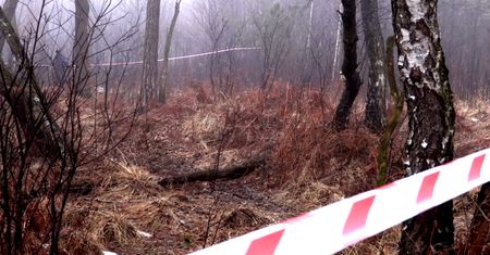Katastrofa helikoptera pod Pszczyną. Policjanci o tragicznym wypadku