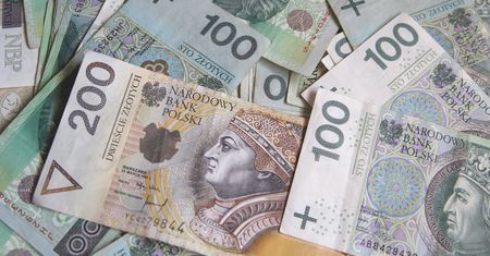 Pracowałeś 10 lat? Taką emeryturę wypłaci ci ZUS