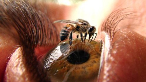 Najdziwniejsze zdjęcia w Sieci - prawdziwe czy obrobione? [GALERIA] 1