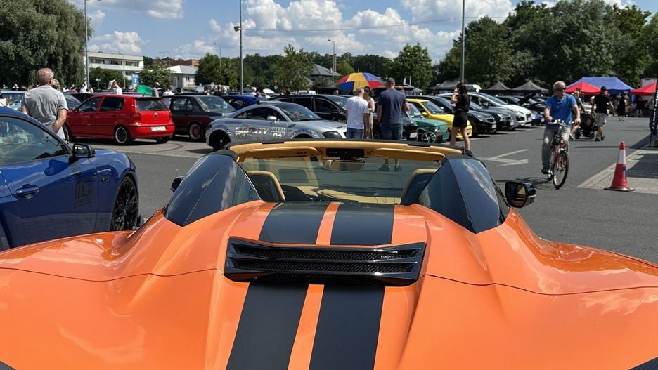 Family Cars - Leszno dla zwierzaków