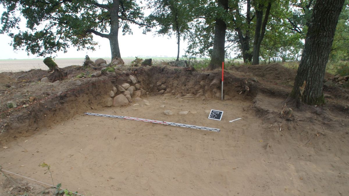 Znalezisko to stanowi ewenement w skali środkowej Europy.