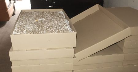 Papierosy w pudełkach po pizzy i alkohol jako płyn do podłóg. Akcja CBŚP