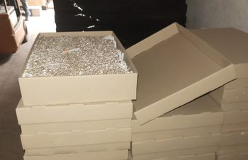 Papierosy w pudełkach po pizzy i alkohol jako płyn do podłóg. Akcja CBŚP