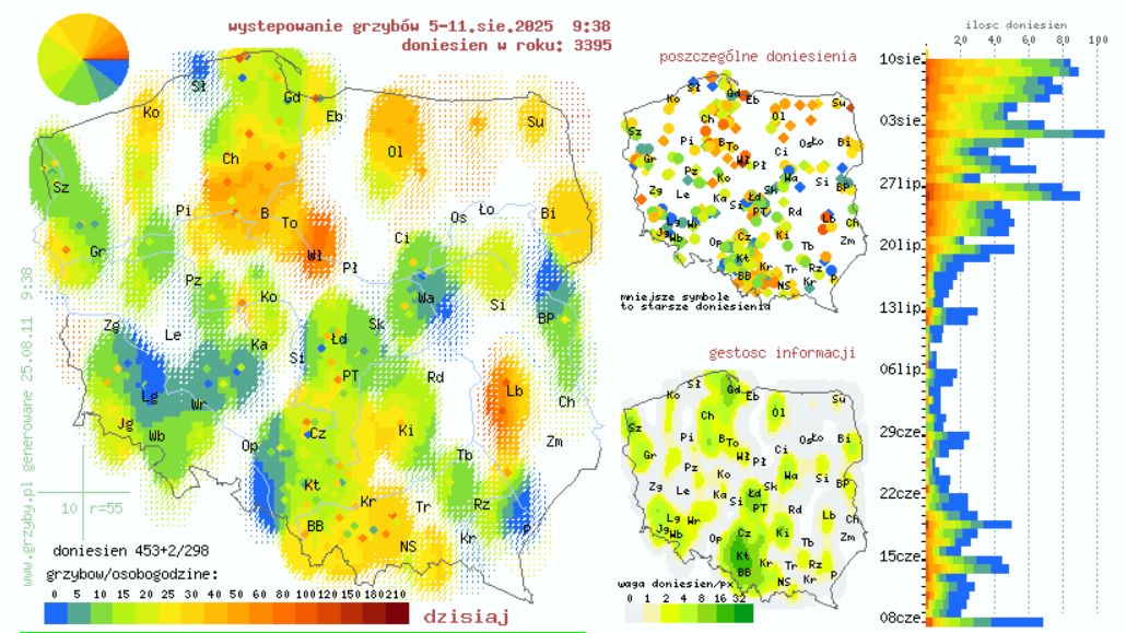 Przykładowa mapa grzybów